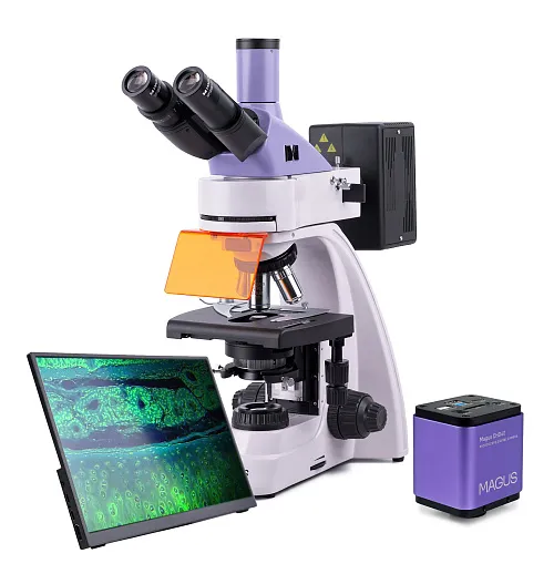 photograph MAGUS Lum D400 LCD Fluorescence Digital Microscope