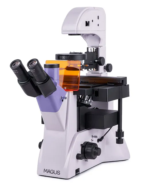 image MAGUS Lum V500L Fluorescence Inverted Microscope