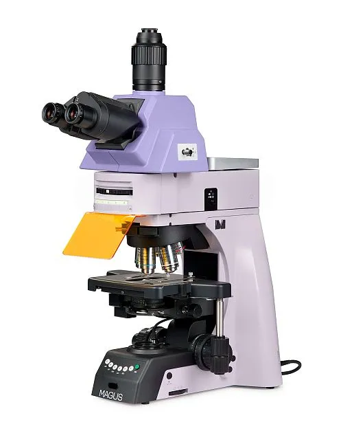 image MAGUS Lum 490L Fluorescence Microscope,  1
