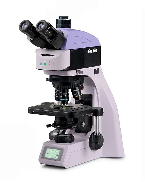 photograph MAGUS Lum 460L Fluorescence Microscope,  1