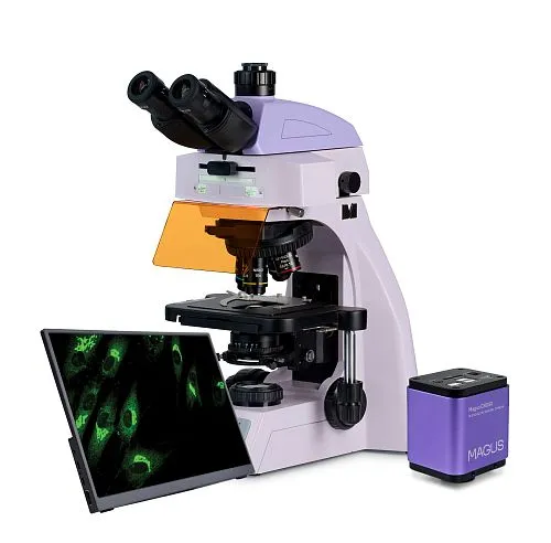 photograph MAGUS Lum D450L LCD Fluorescence Digital Microscope,  1