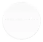 photograph MAGUS CSS1 Calibration Slide for Stereomicroscopes (0.1)