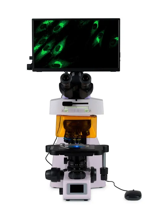 photograph MAGUS Lum D450L LCD Fluorescence Digital Microscope,  8