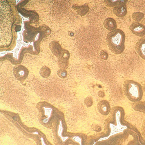 photograph MAGUS Metal V790 DIC Metallurgical Inverted Microscope,  18