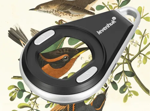 picture Levenhuk ERGO 10 Digital Magnifier,  4