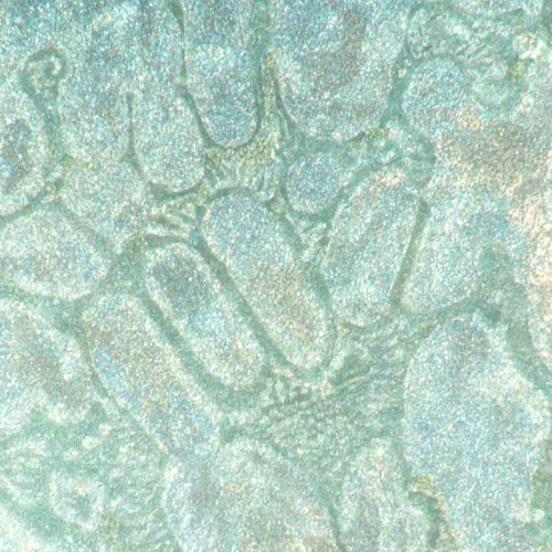 picture MAGUS Metal VD700 LCD Metallurgical Inverted Digital Microscope,  24
