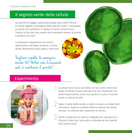 picture Space. Microworld. Knowledge Book 2 vol,  12