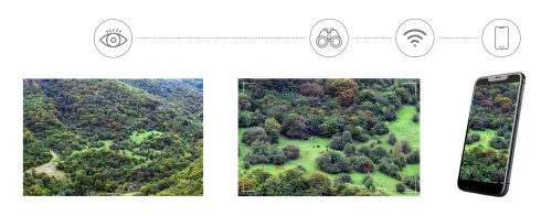 photograph Levenhuk Kelvin Snap ED 8x42 Digital Photobinoculars,  7