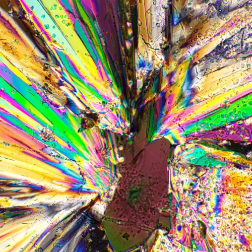 photograph MAGUS SPD2 Polarizer/Analyzer Set,  2