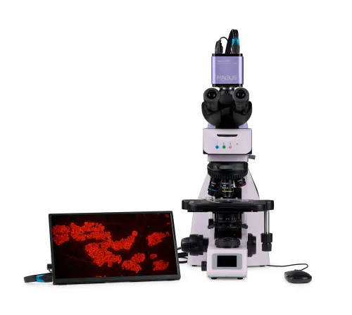 photo MAGUS Lum D460L LCD Fluorescence Digital Microscope,  10