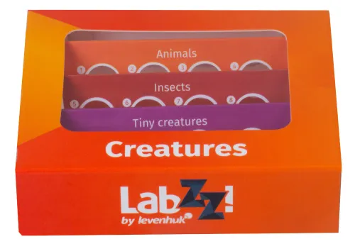 photograph Levenhuk LabZZ C12 Creatures Prepared Slides Set,  7