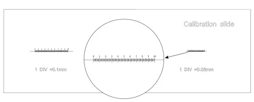 photo MAGUS CS3 Calibration Slide (0.01/0.05/0.1),  6