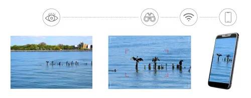 photograph Levenhuk Kelvin Snap ED 8x42 Digital Photomonocular,  7