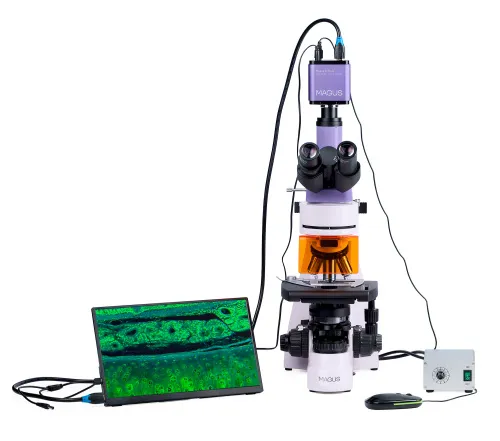 photo MAGUS Lum D400L LCD Fluorescence Digital Microscope,  6