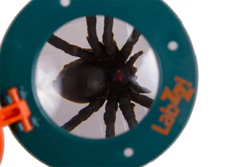 LEOVISTA ビオライズ 61nX4Hd5TsL._UF350,350_QL50_.jpg