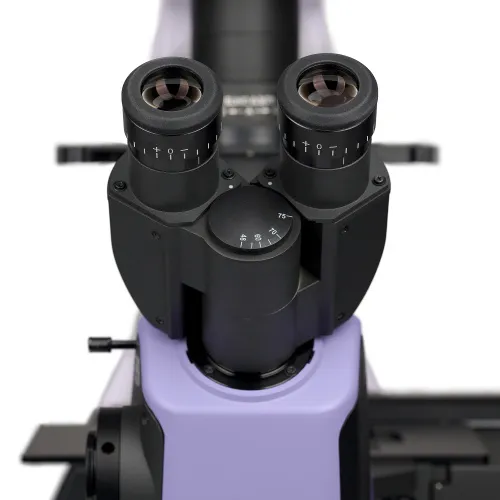 最安値級価格 Biological V360 Bio MAGUS Inverted the from Buy – Microscope 絵画