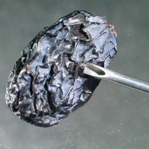 image MAGUS Stereo A6 Stereomicroscope,  14