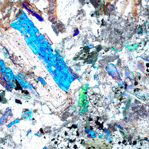 photograph MAGUS Pol D850 LCD Polarizing Digital Microscope,  25