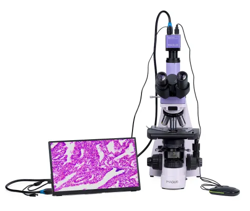 photo MAGUS Bio D250TL LCD Biological Digital Microscope,  7