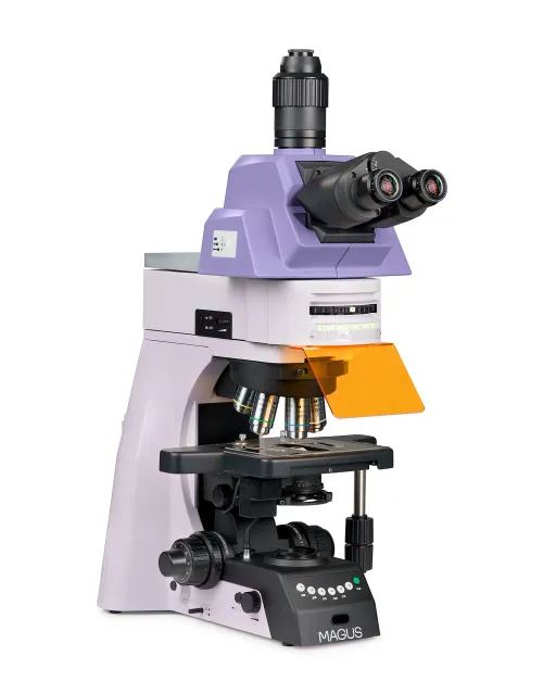image MAGUS Lum 490L Fluorescence Microscope,  2