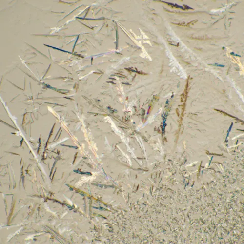 photograph MAGUS Bio 230T Biological Microscope,  22