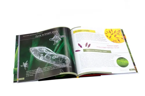 image Invisible World. Knowledge book. Hardcover,  4