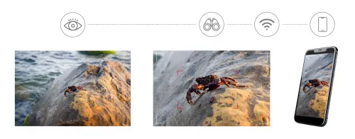 photograph Levenhuk Kelvin Snap ED 8x42 Digital Photomonocular,  6