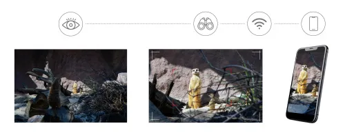 photograph Levenhuk Kelvin Snap ED 8x42 Digital Photomonocular,  5