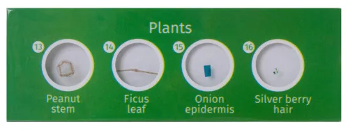 photograph Levenhuk LabZZ CP24 Creatures & Plants Prepared Slides Set,  5