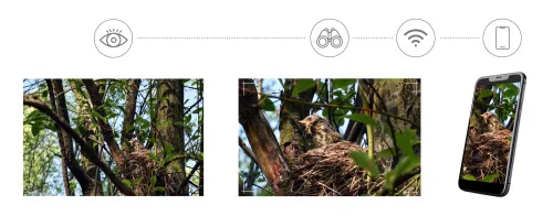 image Levenhuk Kelvin Snap 8x25 Digital Photomonocular,  5