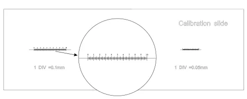 photo MAGUS CS3 Calibration Slide (0.01/0.05/0.1),  4