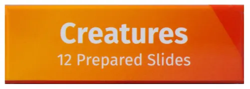 photograph Levenhuk LabZZ C12 Creatures Prepared Slides Set,  8