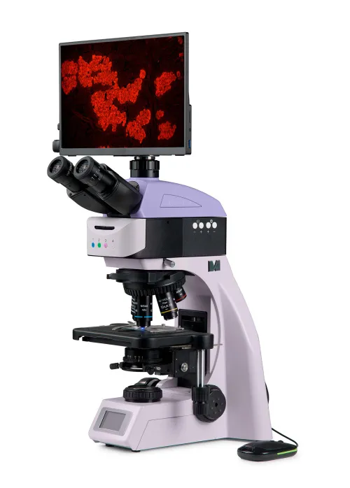 photo MAGUS Lum D460L LCD Fluorescence Digital Microscope,  2