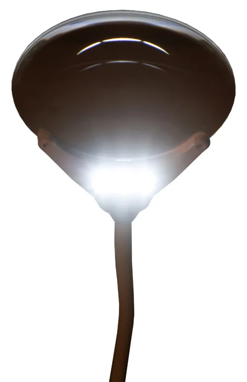 photograph Levenhuk Zeno Lamp ZL7 Magnifier,  11