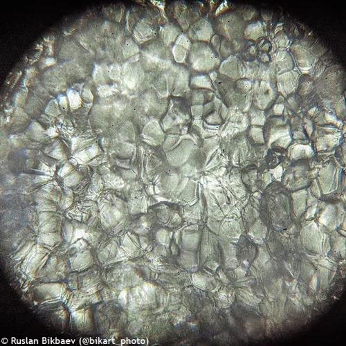 photograph Levenhuk Rainbow 50L PLUS Microscope,  25
