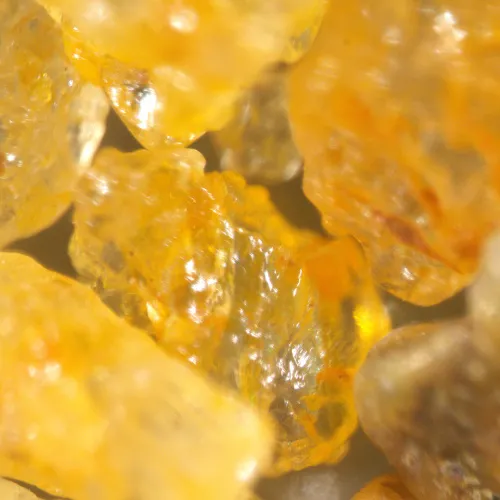 photograph MAGUS Stereo A18T Stereomicroscope,  7