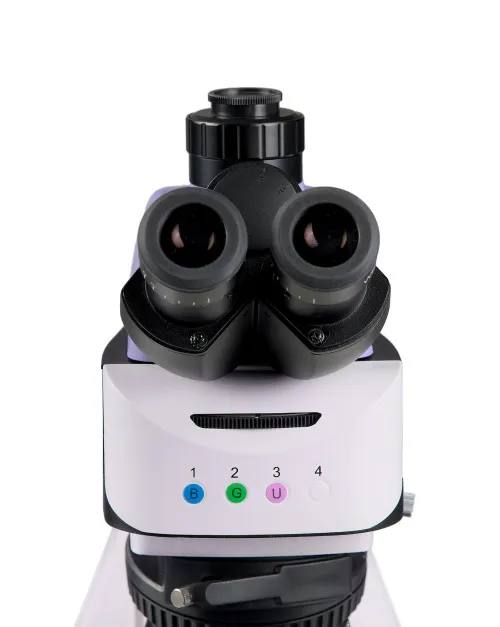 photograph MAGUS Lum 460L Fluorescence Microscope,  10