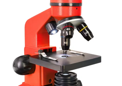 photo Levenhuk Rainbow 2L Microscope,  10