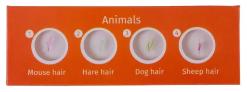 photograph Levenhuk LabZZ C12 Creatures Prepared Slides Set,  2