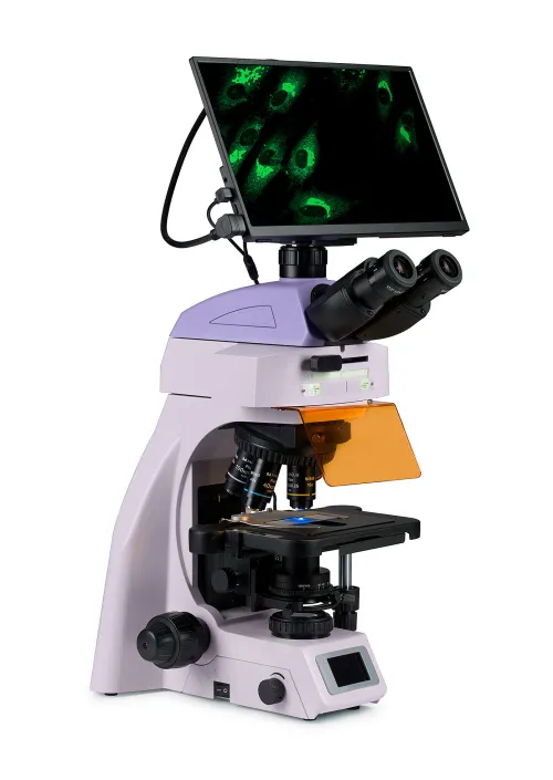 photograph MAGUS Lum D450L LCD Fluorescence Digital Microscope,  3