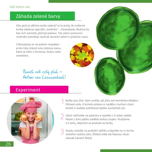 image Invisible World. Knowledge book. Hardcover,  4