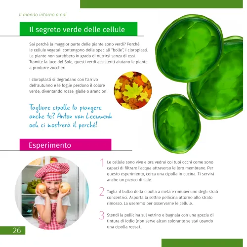 image Invisible World. Knowledge book. Hardcover,  7