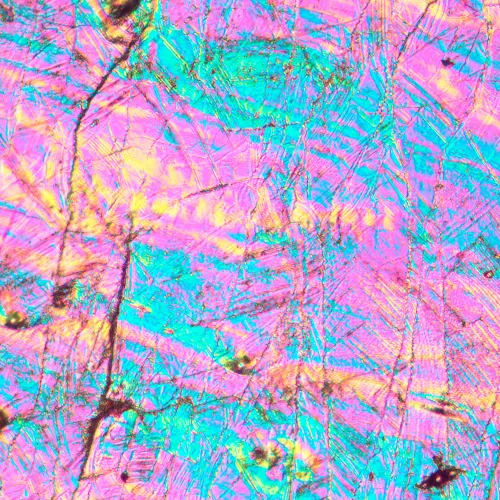 photograph MAGUS Metal V700 DIC Metallurgical Inverted Microscope,  16