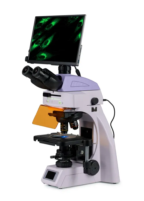 photograph MAGUS Lum D450L LCD Fluorescence Digital Microscope,  2