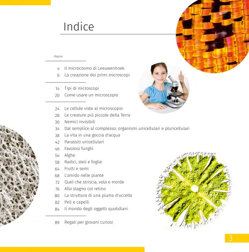 picture Space. Microworld. Knowledge Book 2 vol,  13
