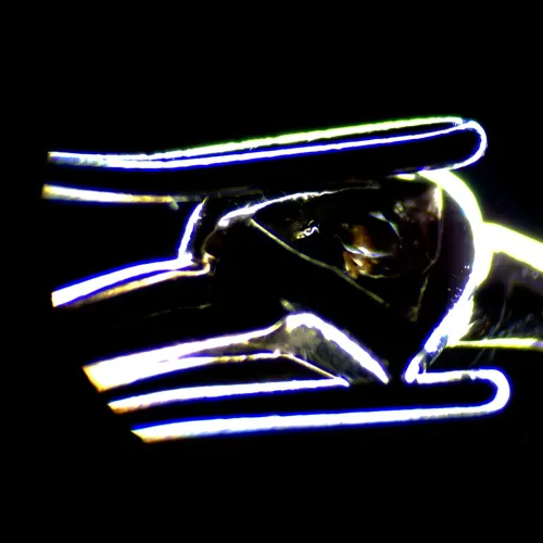 photograph MAGUS Stereo 7T Stereomicroscope,  18