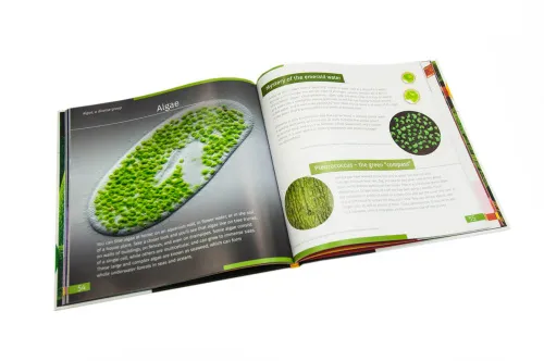 image Invisible World. Knowledge book. Hardcover,  9