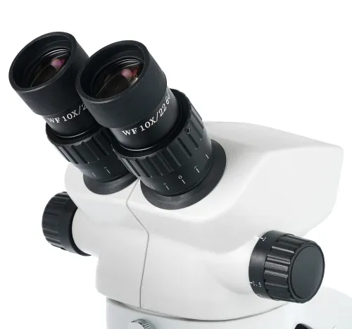 picture Levenhuk ZOOM 1B Binocular Microscope,  6