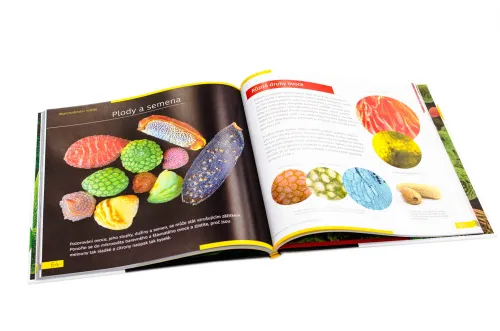 image Invisible World. Knowledge book. Hardcover,  10