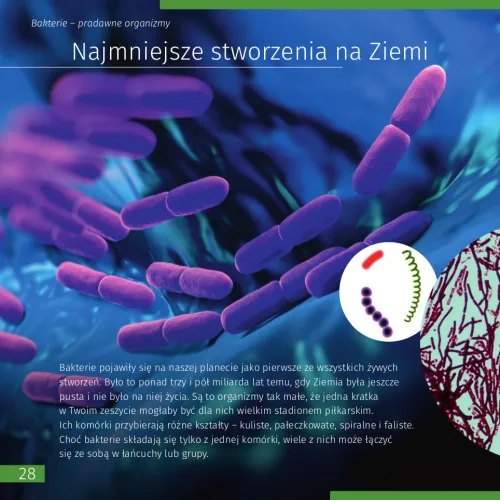 image Invisible World. Knowledge book. Hardcover,  9